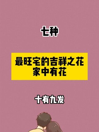 发财树 “养护小白” 必入!这款太省心了! 原盆原土易存活,叶片翠绿寓意好,谁摆谁发财~#盆栽 #绿植 #发财树