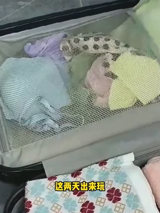 旅行内衣袋三合一便携旅游行李箱整理文胸内裤袜子内衣收纳收纳袋#收纳袋 #旅行收纳袋 #便携收纳袋 #内衣收纳 #内衣袋