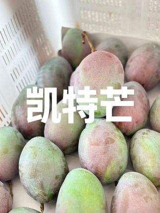 凯特芒果大丰收,便宜给你发一箱…#凯特芒果 #攀枝花芒果 #现摘现发 #新鲜应季水果 #青皮大芒果