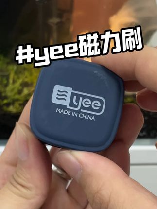 要不是这款磁力刷,我是真不想养鱼了 #养鱼 #水族 #空气缸 #养鱼日记 #鱼缸