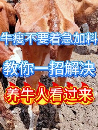 牛瘦不要着急加料,教你一招解决 #养殖 #养牛 #养牛人 #养牛技术 #牛羊养殖