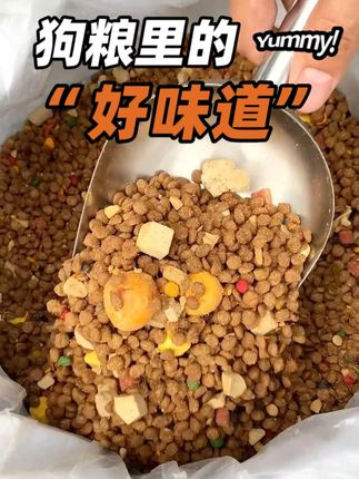 真肉粮扎实耐消耗,狗狗半天活力不掉线 #狗粮推荐#养狗人#品质好物#安心养宠#狗狗吃饭