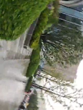 【加厚承重】免钉贴强粘免打孔家用无痕螺丝钉挂置物架装饰挂相框钉#免钉贴 #加厚免钉贴#免打孔免钉贴 #家用免钉贴 #免钉贴推荐