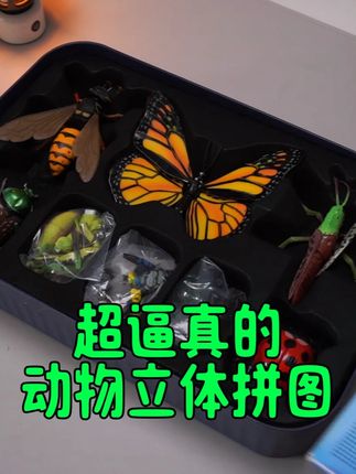 我也是第一次见这么逼真的动物拼图,拼积木还能学到昆虫小百科#昆虫科普 #动物拼图 #儿童积木