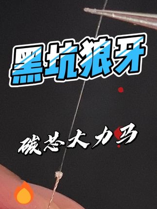 碳芯大力马子线双钩,遇到再大的鲤鱼草鱼也不用担心切线#碳芯大力马子线 #大力马子线 #渔具用品 #黑坑鲤鱼