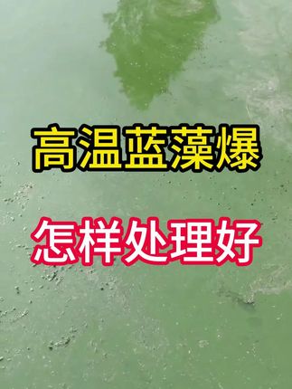 260#水产养殖 高温蓝藻防控浓绿水降氨氮亚盐复合肥水肽