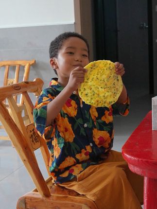 农村媳妇菲利丝