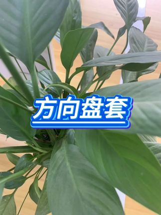 冰丝方向盘套防滑吸汗  #方向盘套  #冰丝材质  #车用配件