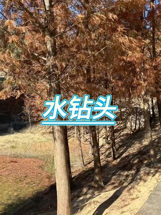 混凝土水钻头开孔 → #水钻头 #开孔器 #工程工具