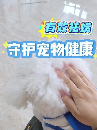 有效祛螨,守护宠物健康,养宠家长更省心~#狗狗螨虫 #狗狗挠痒痒 #养宠 #狗狗 #螨虫