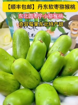 #丹东软枣猕猴桃 丹东软枣猕猴桃东北圆枣子小猕猴桃奇异莓果东北特产甜