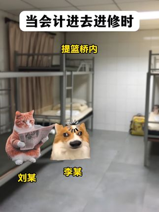 当会计进去进修时 #提篮桥 #搞笑 #会计 #猫meme
