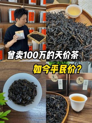 谁能想到曾卖100万的天价茶,如今平民价? #宋种 #召唤茶友 #喝好茶 #茶 #平价