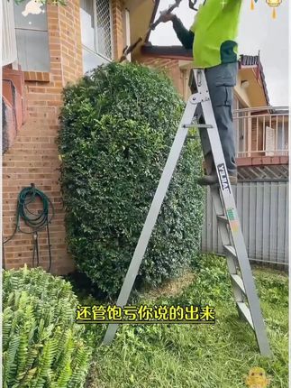 在这个情商重于智商的年代,行走江湖,居之必备《对答如流》#情商 #说话技巧#高手接话 #对答如流