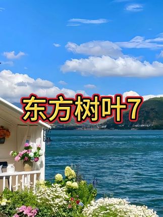 家人们,快快快⚡来不及解释😭这次真被东方树叶征服了!! 才这价到手一大箱10大瓶,还是900毫升大瓶装的,啊啊啊啊!我要天天喝,太划算了,喝得起!!茶香四溢,清甜回甘,真的好好喝!#东方树叶 #夏日饮品 #超便宜超划算 #茶饮 #我超好喝