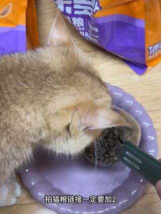 一定要拍两件到手6斤还是39块9!性价比绝绝子,猫咪超爱吃!#猫粮 #新手养猫 #萌宠好物