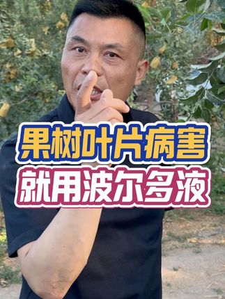 果树叶片病害,就用波尔多液 果树叶片病害,就用波尔多液#三农 #助农 #病虫害防治