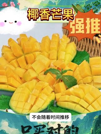 正宗现摘四川攀枝花椰香芒果新鲜树上自然9成熟发货当季供应 #椰香芒果 #芒果 #水果 #果园直发 #现摘现发新鲜到家