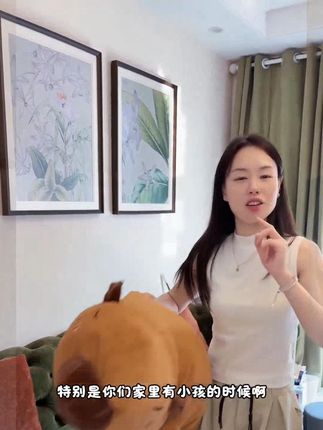 呆萌水豚抱枕,可爱毛绒公仔,当靠垫抱枕都可以,大中小三个尺寸 #卡通抱枕# 毛绒抱枕 #大毛绒玩具# 毛绒玩具公仔