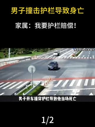 被告的护栏 #真实故事 #道路安全