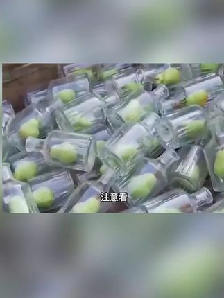莫名其妙的梨子竟然长进了瓶子中,拔也拔不出来! #雪梨枇杷汁