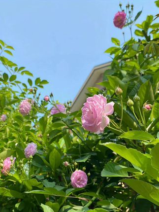 兰博基尼联名老花眼睛自动变焦轻便无边框时尚老花镜 #超级推存  #自动变焦老花镜  #老花镜怎么选  #无限回购的宝藏单品  #自动变焦老花镜