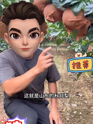【爆甜】山东当地莱阳秋月梨脆甜多汁新鲜梨子应季 #水果 #秋月梨 #新鲜应季水果