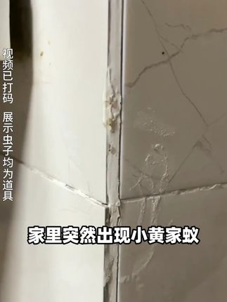 讨厌蚂蚁总是有?巴斯夫杀虫喷雾100%灭杀,12超长持续效果 #巴斯夫 #去蚂蚁 #驱虫 #驱蚁