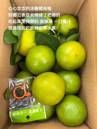 心心念念的冰糖橙来啦,别看它表皮长得绿了吧唧的,吃起来是纯甜的 皮很薄 一口爆汁#冰糖橙  #皇帝柑