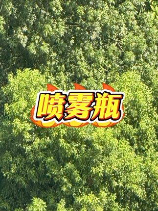 按压式化妆品喷雾瓶子细雾脸部小喷旅行补水便携式酒精喷水瓶#喷雾瓶 #喷雾瓶子 #喷水瓶 #酒精喷雾瓶 #按压式喷雾瓶