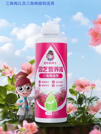 三角梅适用正品营养液生长配方促花保花家用园艺肥料 八九月份正是三角梅爆花的好时候,这时候追肥追得对,爆花期花苞直接压弯枝# 三角梅养护 # 三角梅营养液 # 三角梅专用营养液 # 三角梅专用肥