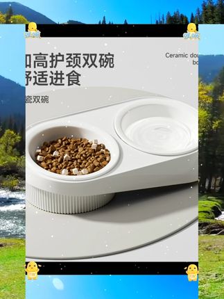 猫碗猫食盆陶瓷双碗狗狗碗狗盆猫咪饭碗猫粮碗小猫食碗宠物喝水碗 #萌宠日记 #宠物用品 #新手养宠