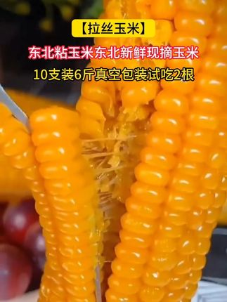 黄糯玉米 大棒6斤,还可以试吃两根,朋友们都在囤货了#家禾黏玉米 #温泉玉米 #粉丝优 选