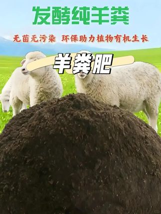 抓紧给家里的花儿埋营养肥吧 就很合适,促进植物生长疏松士壤#羊粪有机肥 #有机肥 #爱生活爱弄花 #养花小知识