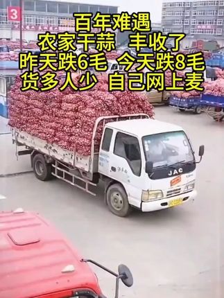 #大蒜 #优质农产品 #超便宜超划算 #我的乡村生活 #成年人的世界没有容易二字