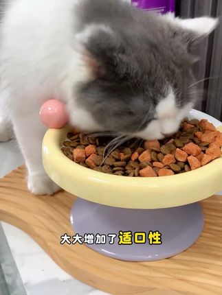 #麦富迪 三文鱼猫粮单斤只要个位数的猫粮,还添加了大块冻干,五包还送猫条#冻干猫粮 #猫粮 #猫粮推荐