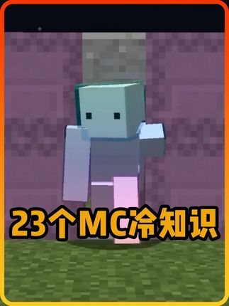 23个我的世界冷知识:这是你和村民共享一张床的方法!#我的世界