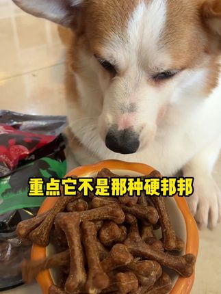 这年头竟然还有小狗不刷牙?一款洁齿棒让你家那位不做臭臭小狗! #萌宠日常记录 #当你有只嘴馋小狗 #狗零食 #洁齿棒狗狗 #科学养宠攻略