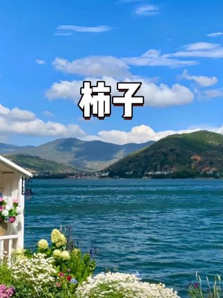 #优质农产品  #脆柿子  #巧克力脆柿子  #抖音入手的好东西  #动珠宝季