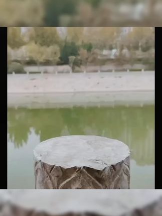 声控仿真鹦鹉会动会叫会说话益智感应玩具老人解闷神器家居摆件#声控鹦鹉 #益智玩具 #老人解闷 #家居摆件 #仿真玩具