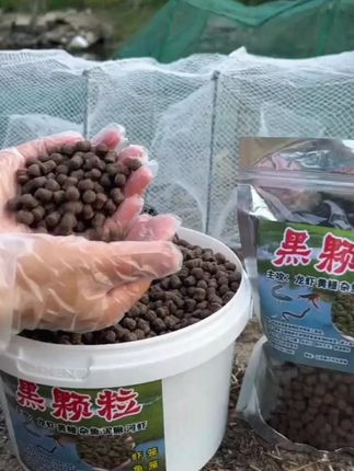 龙虾饵料泥鳅河虾诱饵抓虾秘制诱饵料虾笼诱饵黄鳝诱饵#龙虾诱饵 #抓虾神器 #泥鳅诱饵 #黄鳝诱饵 #秘制饵料