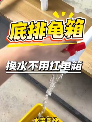 养龟新手用普通箱换水费时间?之前每次水得半小时,还脏手!! 之前每次水都得半小时以上,耽误时间!现在我用这款底排龟箱 10 秒排净龟便脏水,省出时间做自己的事,新手养龟再也不用为换水占用时间,省时省力,非常方便!!#龟箱 #龟缸 #乌龟造景 #龟缸排水 #养龟新手