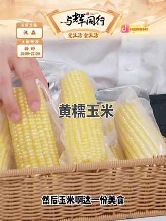 黄糯玉米单根250g*10根香甜软糯饱腹代餐黏#黄糯玉米 #玉米 #糯玉米 #美食 #健康
