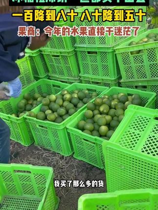 冰糖橙滞销一筐都卖不出去 #新鲜应季水果 #新鲜采摘 #水果 #现摘现发