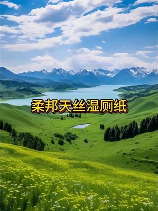 柔邦自己卷自己,同样的价格就能买到更适合女孩子的益生菌湿厕纸!#柔邦益生菌湿厕纸 #看见女性力量  #厕纸还是湿的好  #湿厕纸  #益生菌湿厕纸 #女人