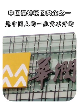 中国最神秘的央企之一 #宁高宁 #商业思维 #企业管理 #华润