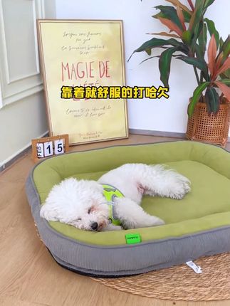 这么舒服的窝窝狗子可喜欢了,四季通用,立体不变形也好打理,给你家狗子也挑一个吧!#狗窝 #自用好物分享 #好物推荐 #回购率超高 #无限回购的宝藏单品