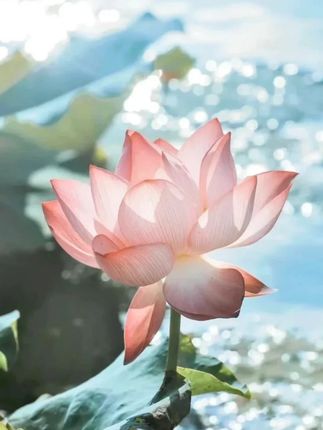 #杜克和一哥 杜克环游世界 #孟加拉的故事 #交换世界计划#