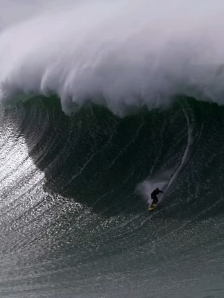 阿伟🏄🏻⛷️🌈