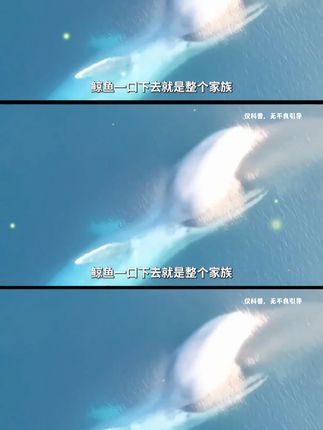 #鳞虾干 #虾米 #南极鳞虾干